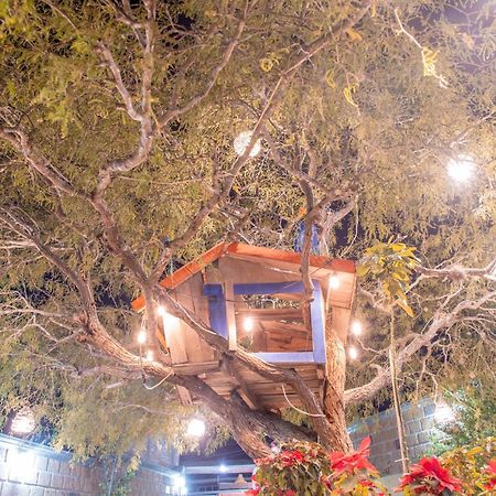 Hotel Casa Del Arbol Bernal Dış mekan fotoğraf