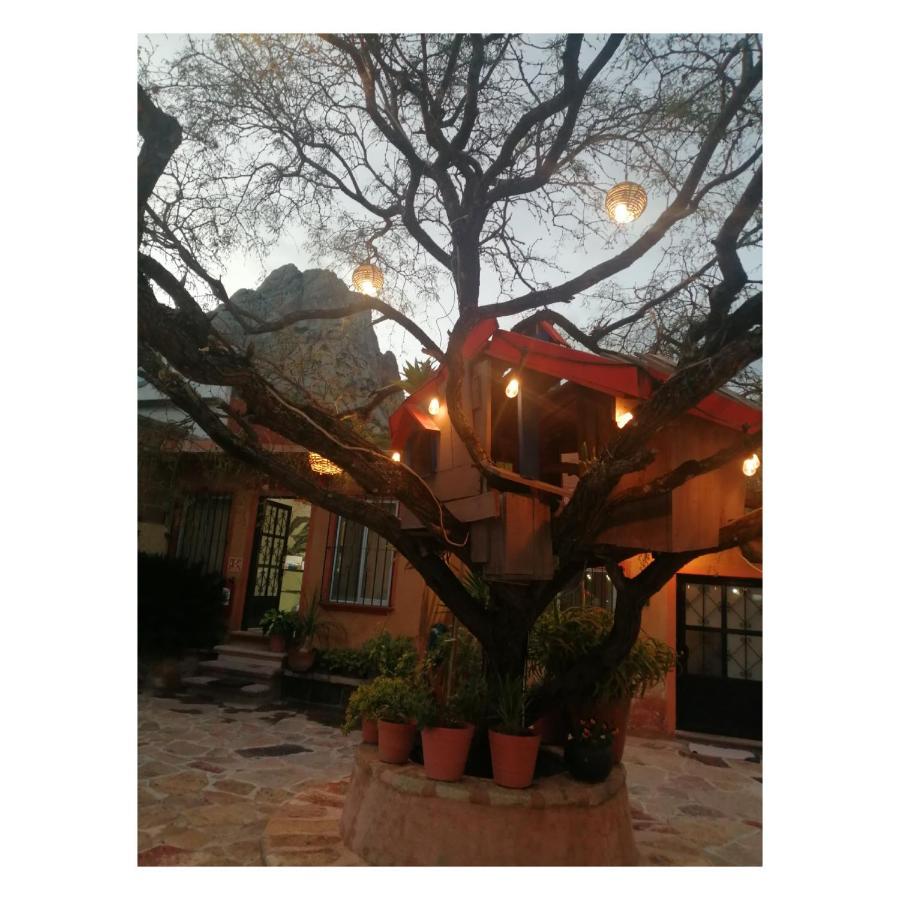 Hotel Casa Del Arbol Bernal Dış mekan fotoğraf