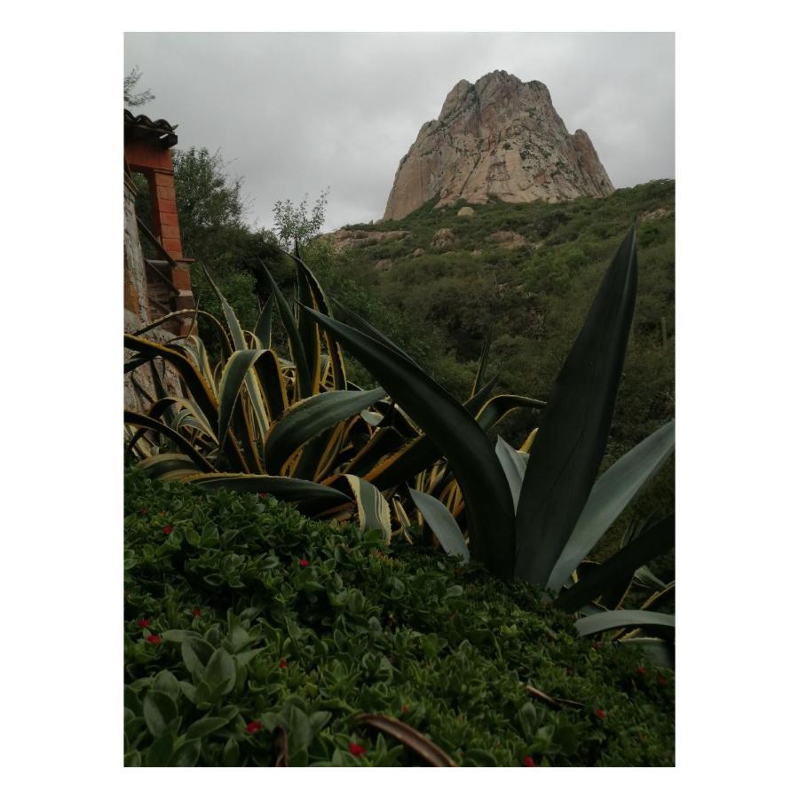 Hotel Casa Del Arbol Bernal Dış mekan fotoğraf