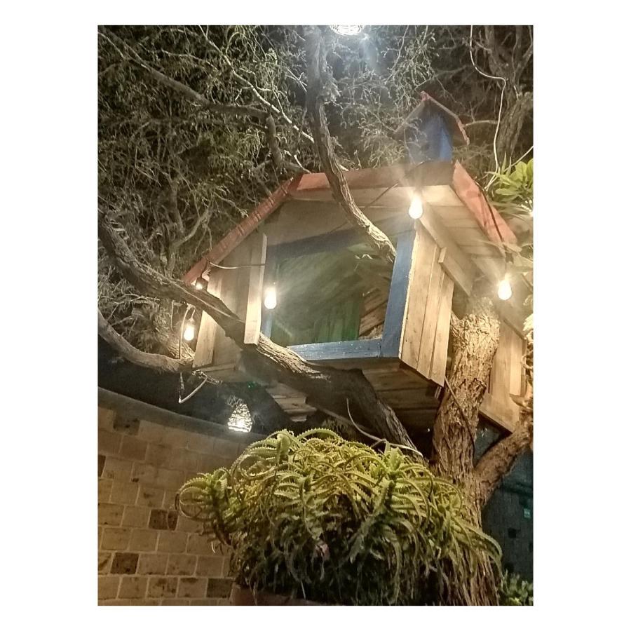 Hotel Casa Del Arbol Bernal Dış mekan fotoğraf