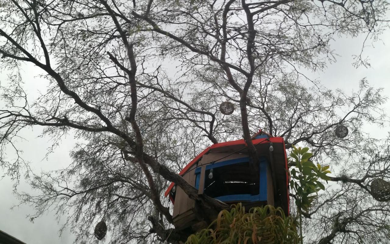 Hotel Casa Del Arbol Bernal Dış mekan fotoğraf