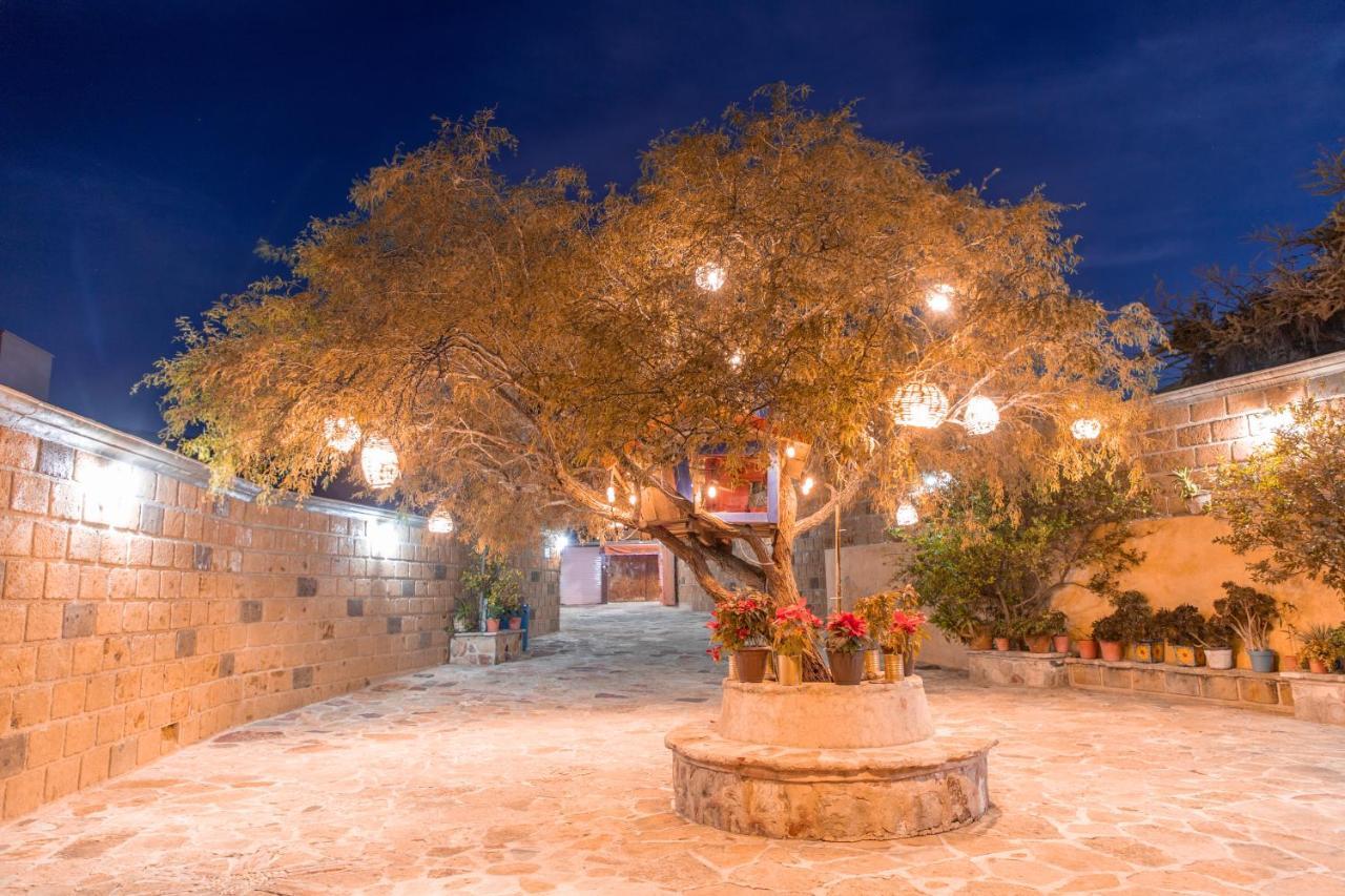 Hotel Casa Del Arbol Bernal Dış mekan fotoğraf