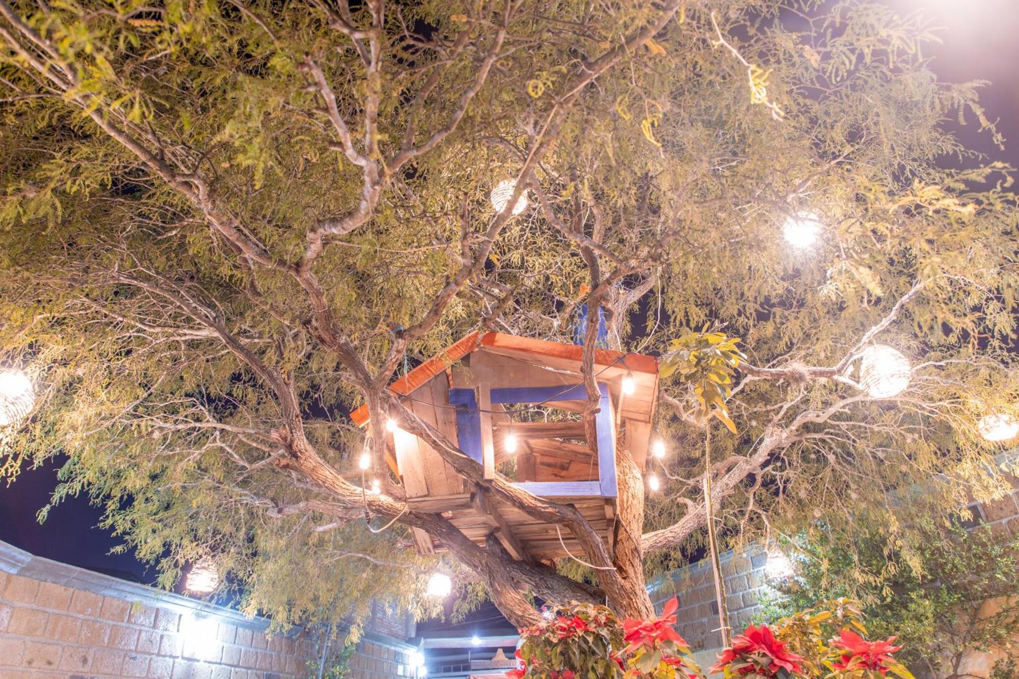 Hotel Casa Del Arbol Bernal Dış mekan fotoğraf