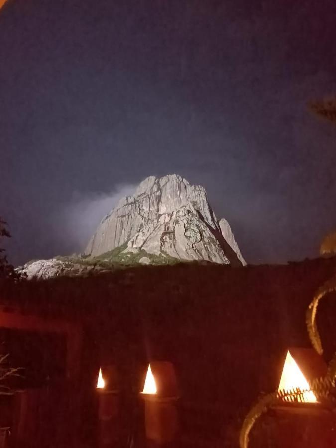 Hotel Casa Del Arbol Bernal Dış mekan fotoğraf