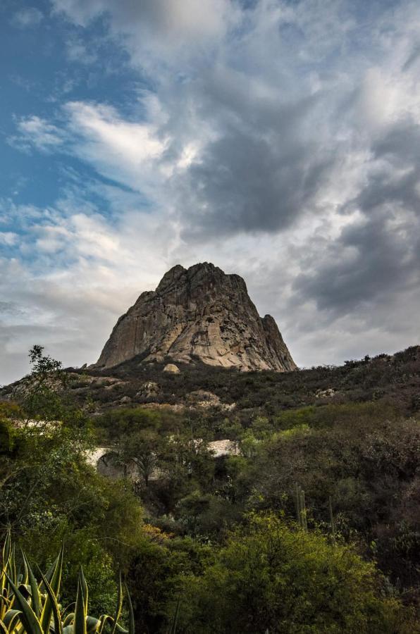 Hotel Casa Del Arbol Bernal Dış mekan fotoğraf
